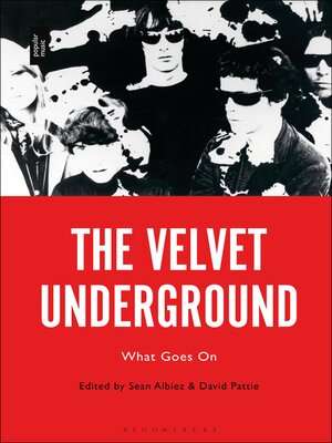 cover image of The Velvet Underground
